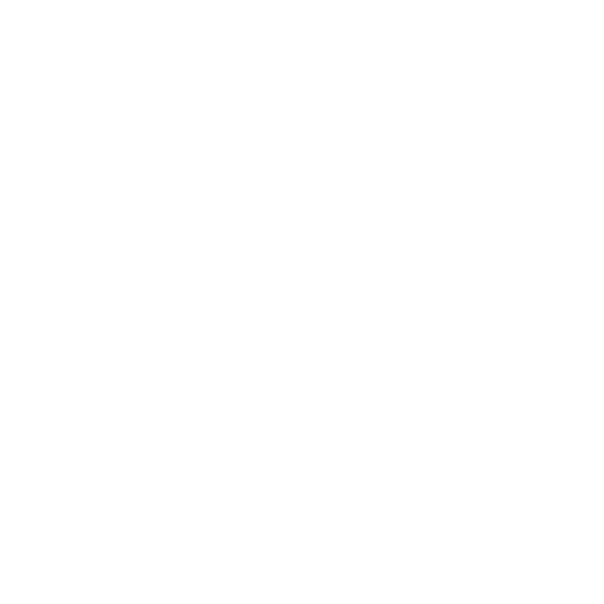 logo_blanc